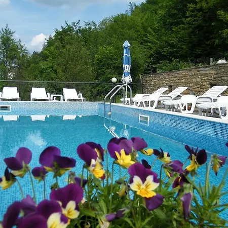 Family Chiflik Hills Hotel 3*